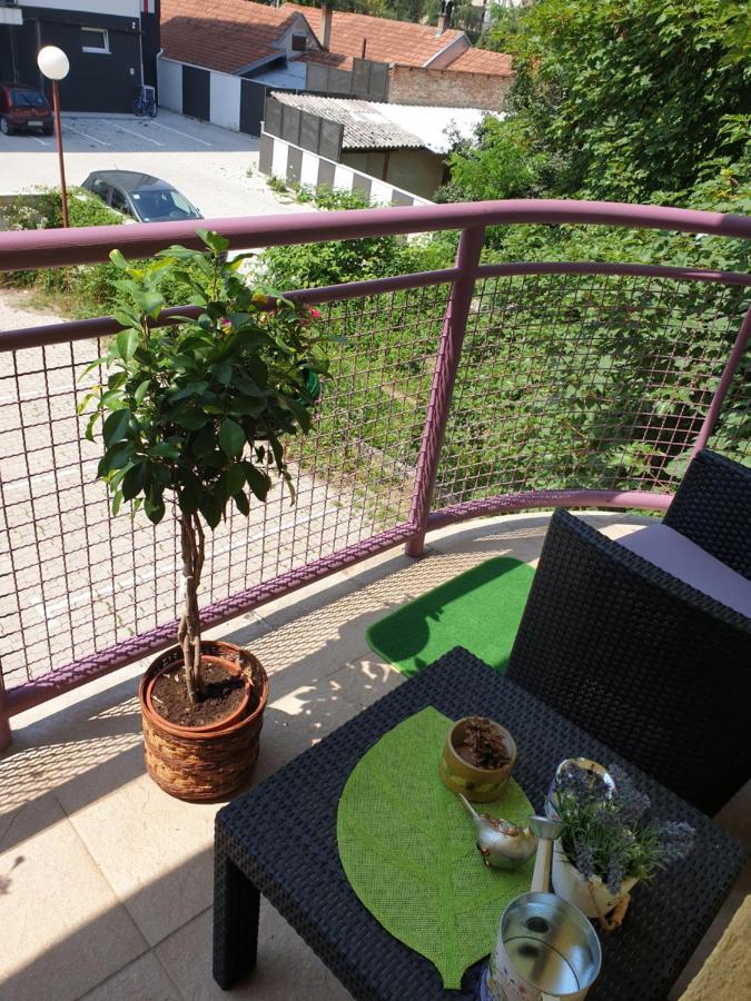 Lux Apartman Čačak Exterior foto